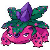 pokemon insurgence starter